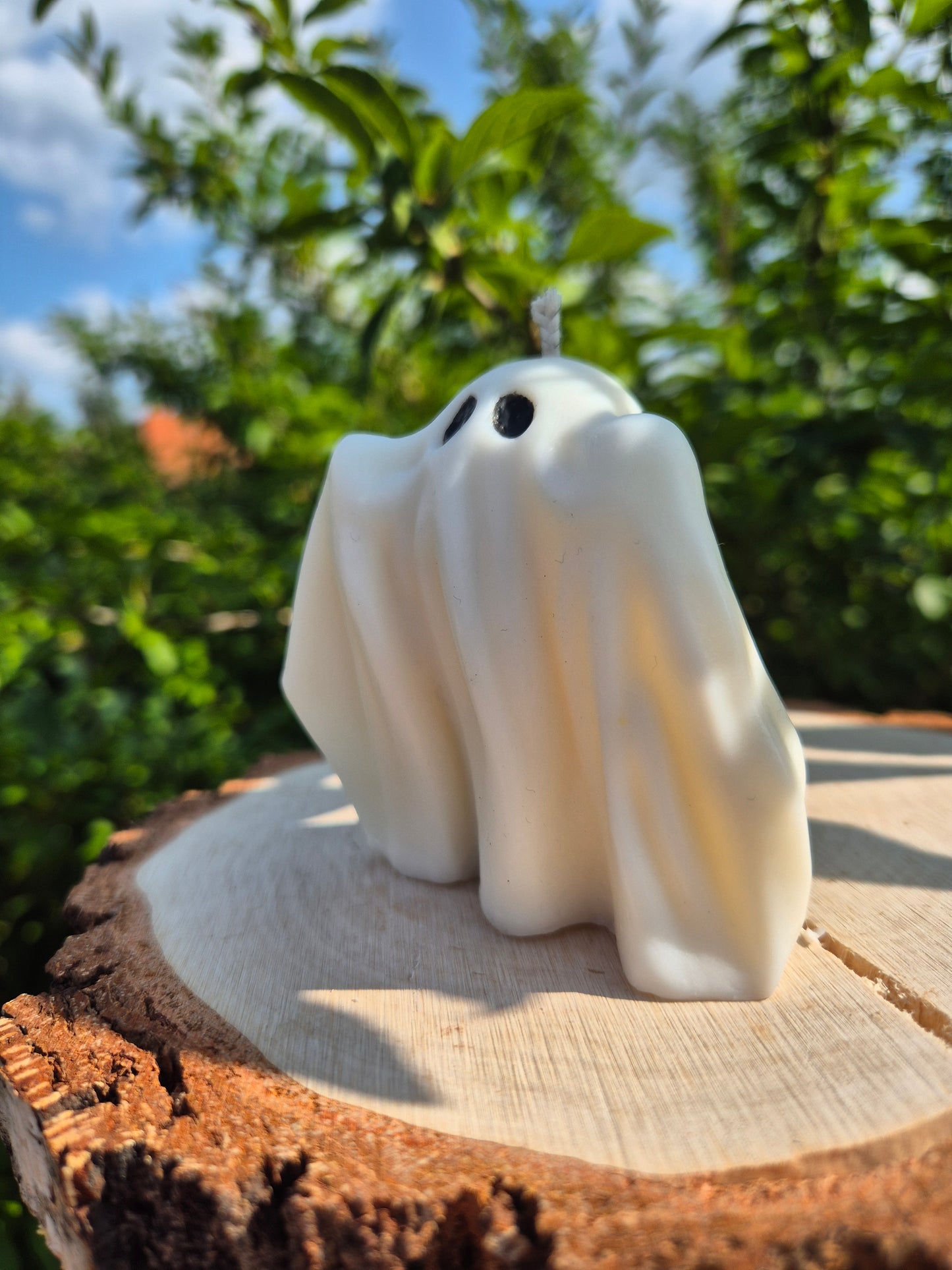Geist
