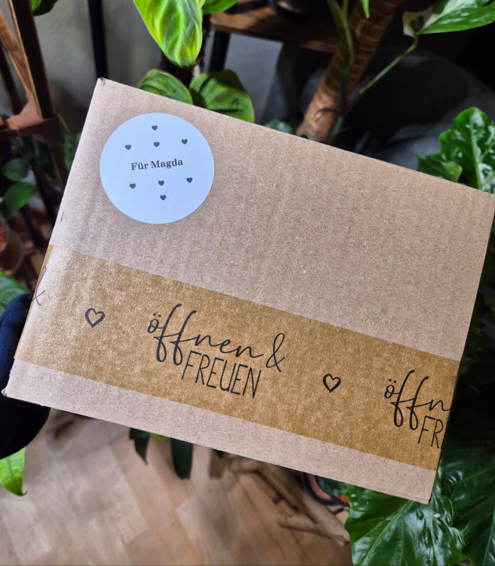 ÜberraschungsPäckchen B-Ware