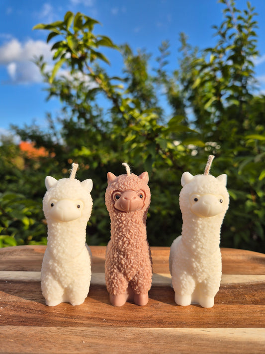 Lama Kerze