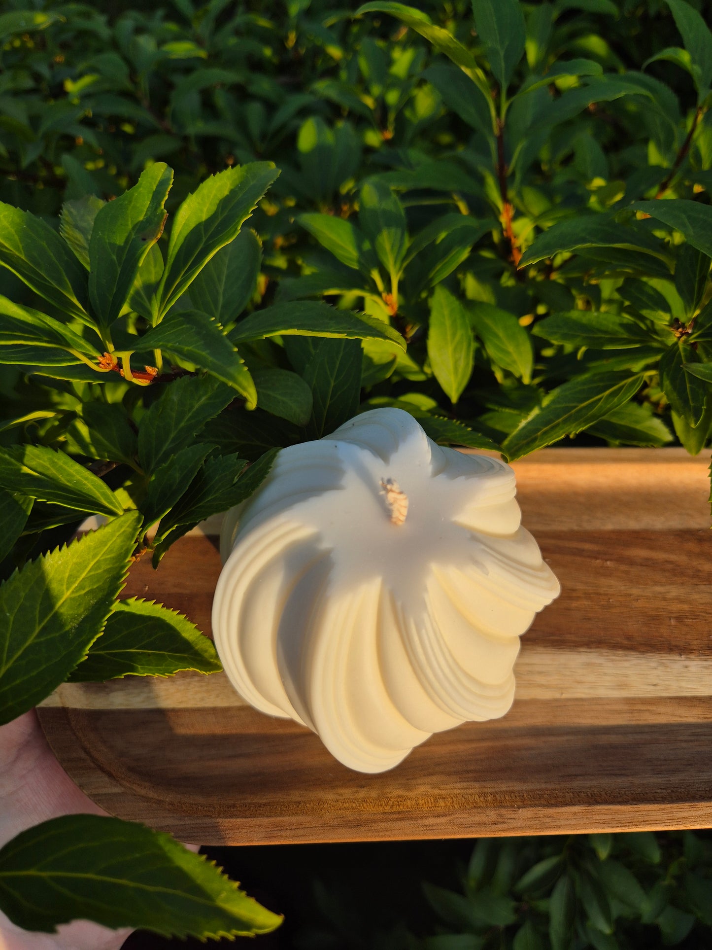 Whirl of Light "big"