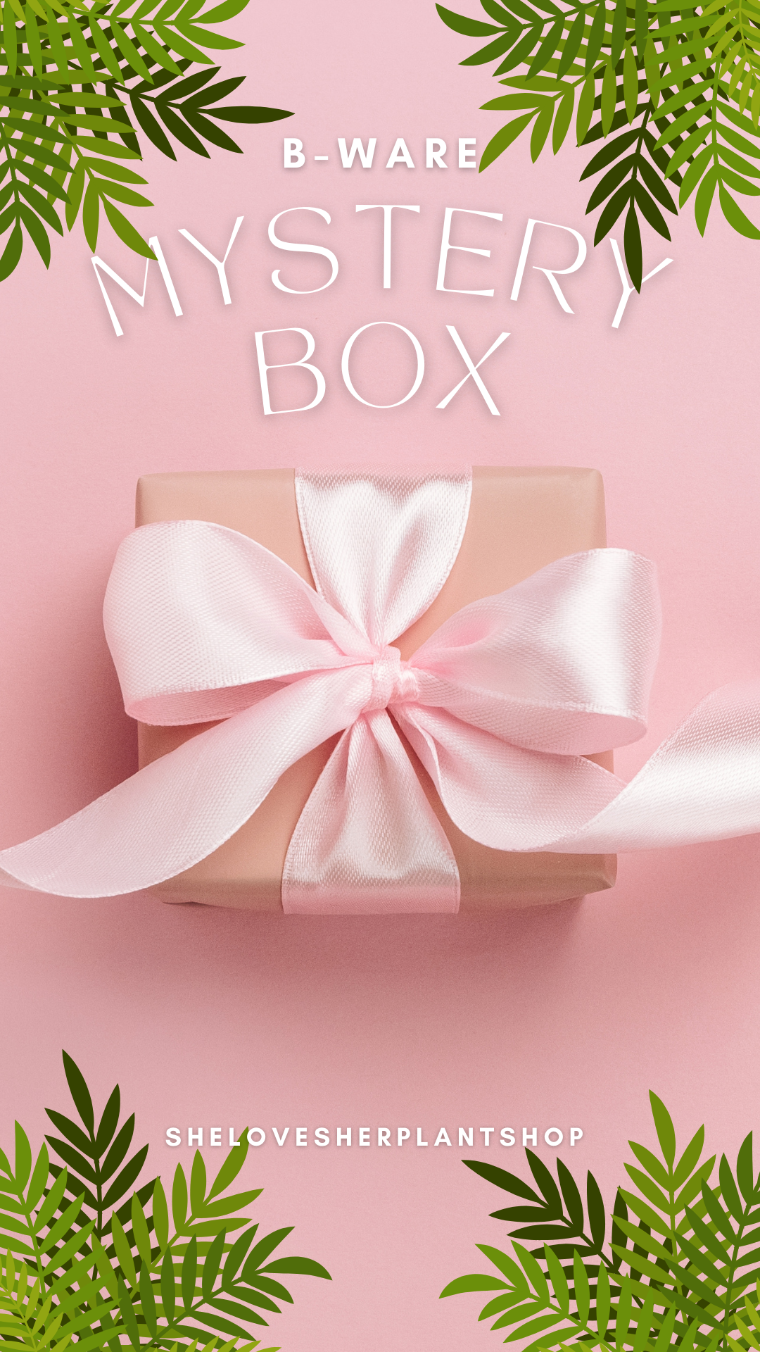 ÜberraschungsPäckchen B-Ware