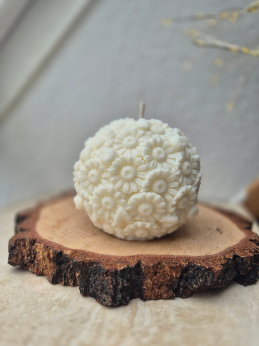 Gänseblümchen Kugel