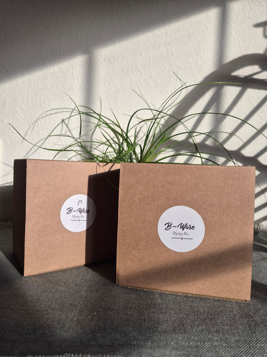 B-Ware Überraschungsbox